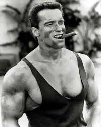 Arnold Schwarzenegger Doğumu