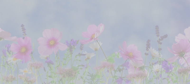 Günün Fotoğrafı Anneler Günü