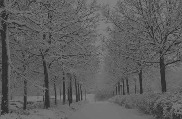 Günün Fotoğrafı Görülmemiş soğuklar ve kar