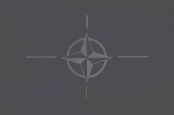 Günün Fotoğrafı NATO üyeliğini onayladı