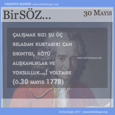 Günün Sözü Voltaire Çalışmak
