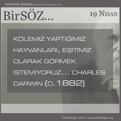 Günün Sözü Charles Darwin kölemiz