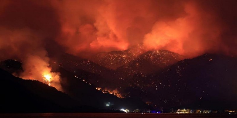 Türkiye'de Orman Yangınları