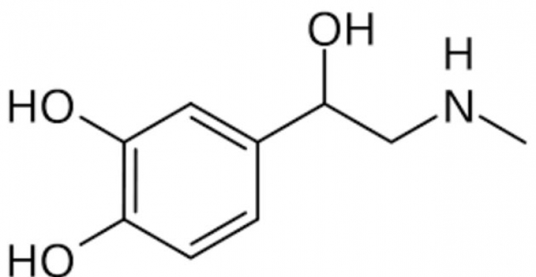 Adrenalin Epinephrine hormunu bulundu