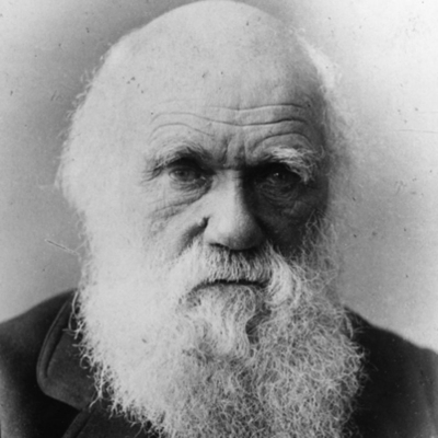 Charles darwin что открыл