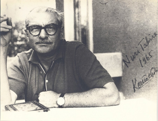 Kemal Tahir Kimdir Doğdu