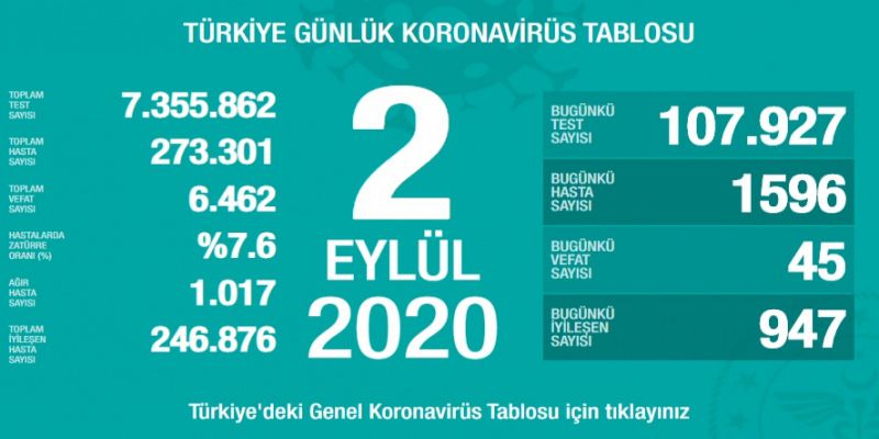 Koronavirüsün birinci dalgasının ikinci pikini yaşıyoruz