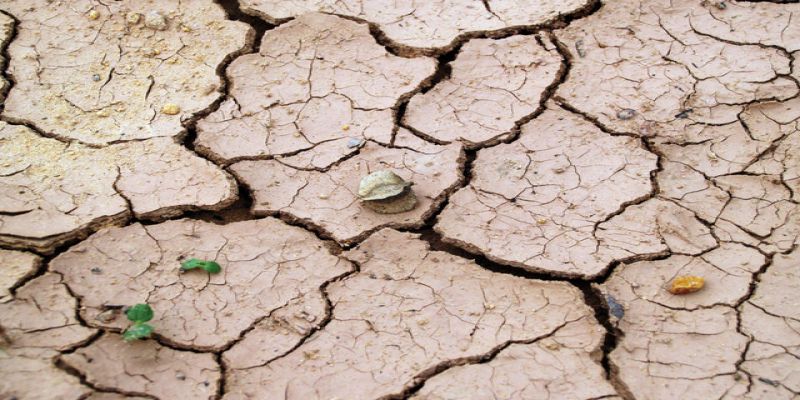 Kuraklık İçin Yağmur Duası Yapıldı - Tarihte Bugün