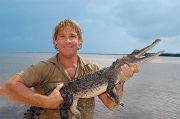 Steve Irwin ölümü
