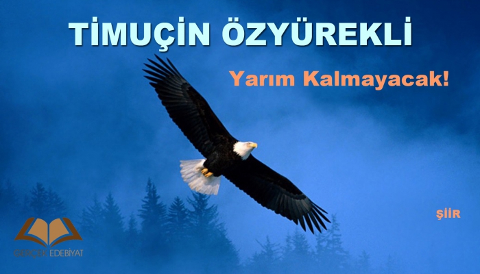 Timuçin Özyürekli  Doğumu